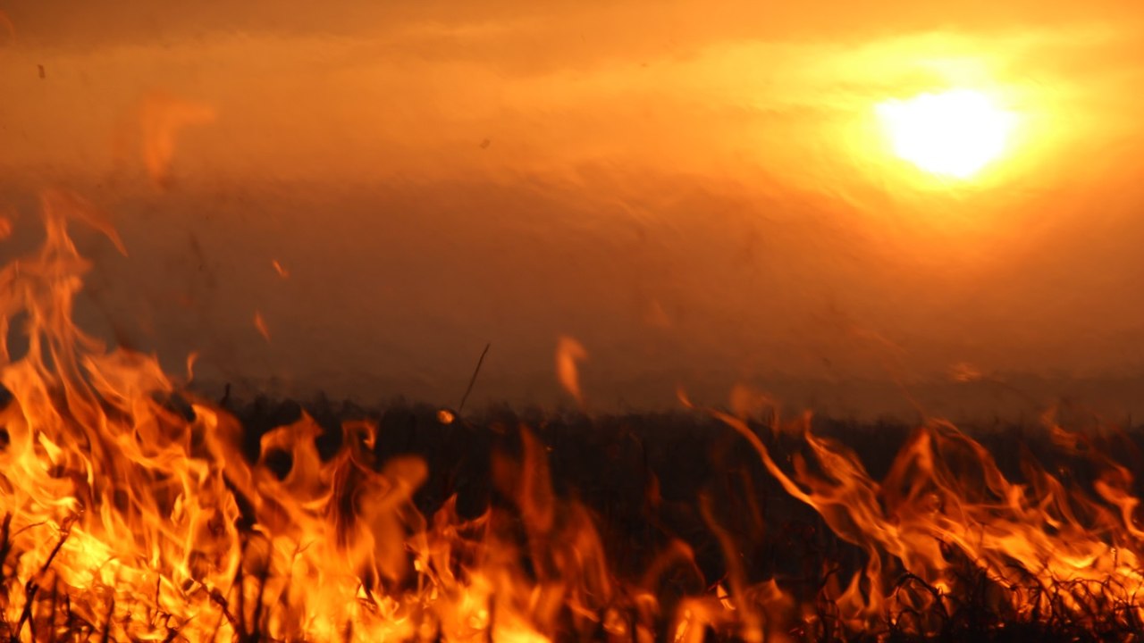 Пожары 2015 год. Пожары в Хакасии 2015. Лесной пожар Хакасия. Крупный Лесной пожар Хакасия. Территория огненных палов.