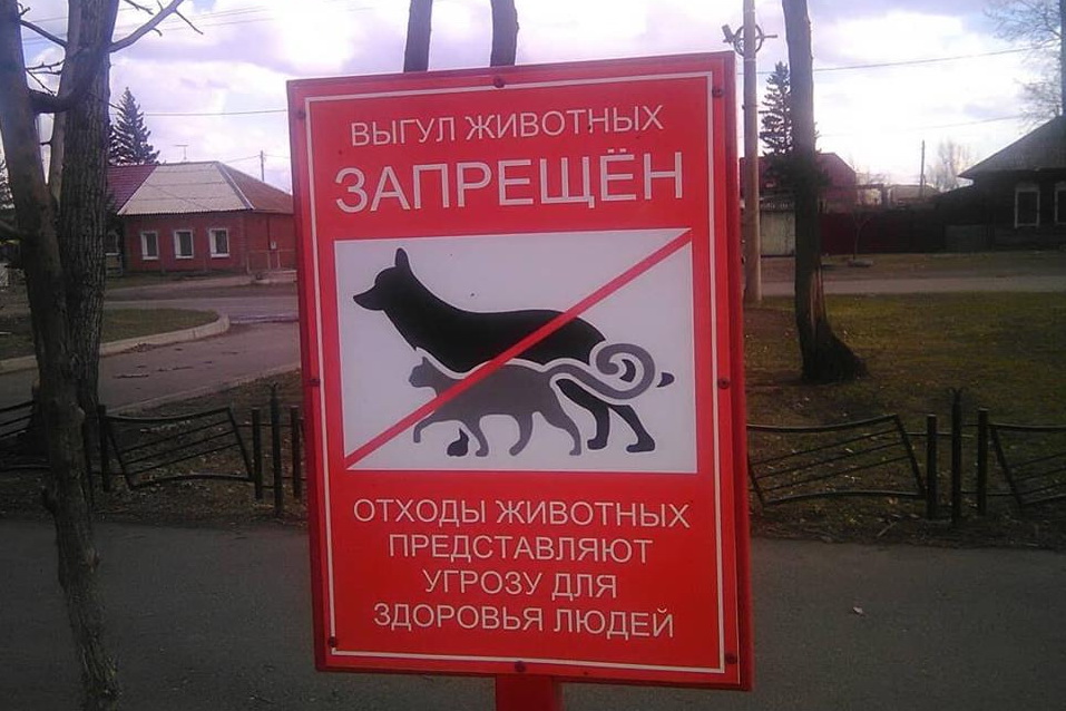 Домашние животные в многоквартирном доме. Табличка выгул собак. Выгул собак запрещен. Выгул домашних животных запрещен табличка. Выгул собак на территории запрещен.