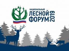 Национальный лесной форум