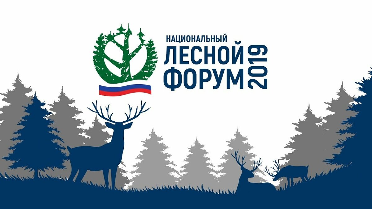 Национальный лесной форум