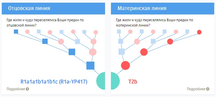 Днк Тест На Происхождение Цена