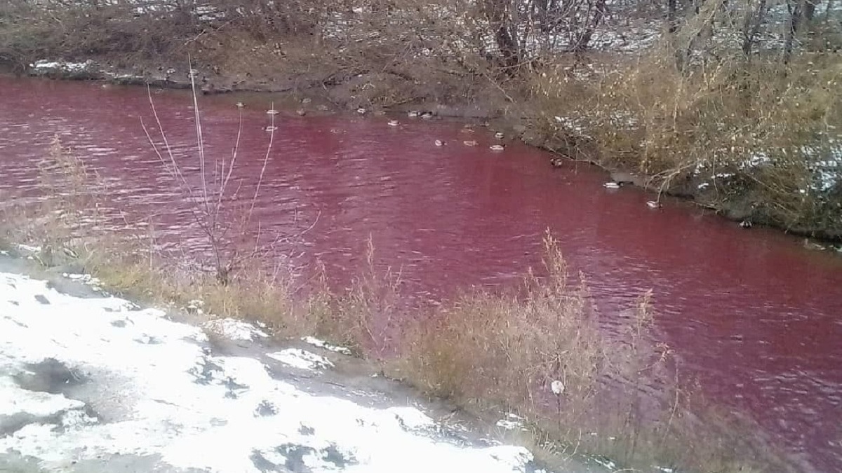 Причиной загрязнения реки в Кемерове стал сброс из городского коллектора -  Пульс Хакасии