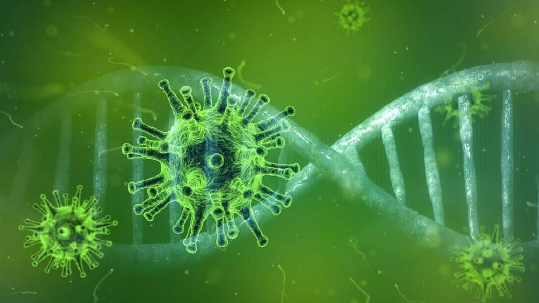 коронавирус