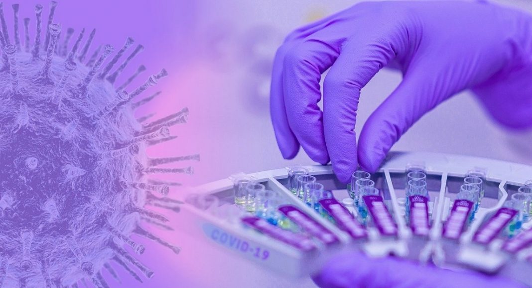 Фото pixabay.com коронавирус