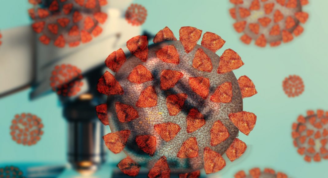 Фото: pixabay.com коронавирус