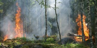 Пожар