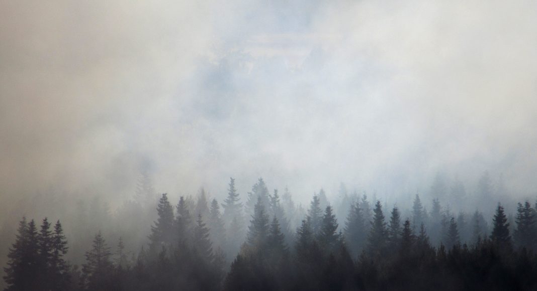 Лесной пожар