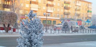 Фото СГК