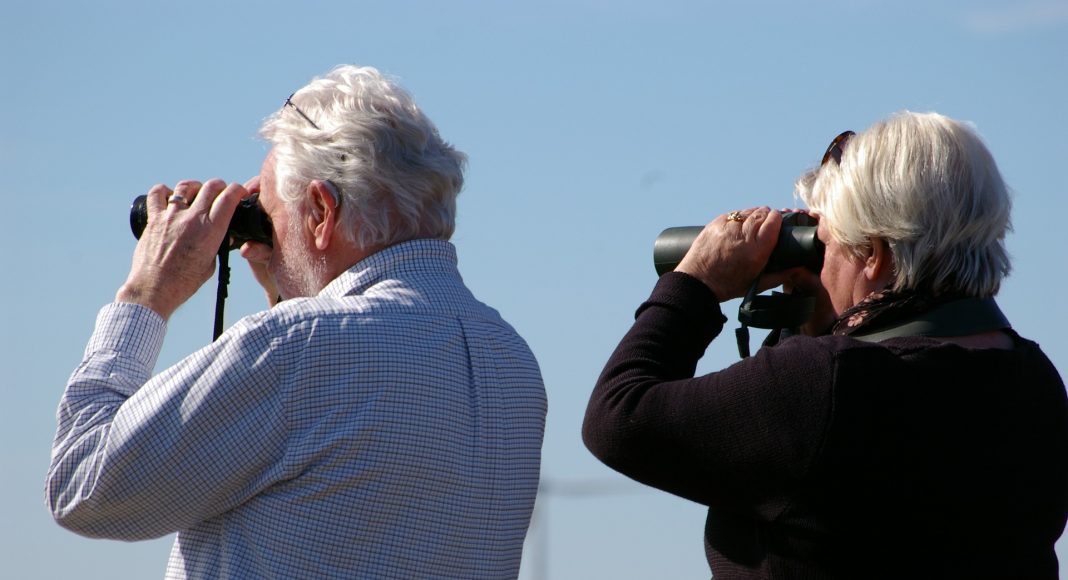 Наблюдение, ожидание