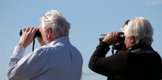 Наблюдение, ожидание