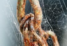 Ржавая цепь