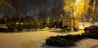 Фото: Абакан.рф