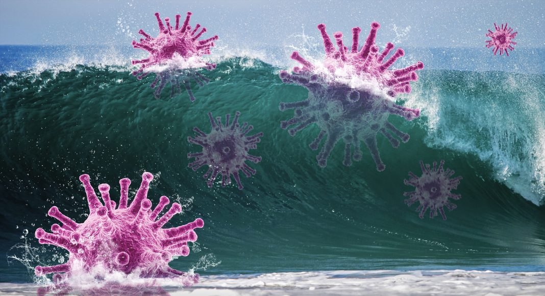 Волна коронавируса