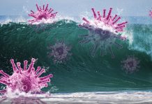 Волна коронавируса