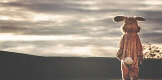 Одинокий заяц