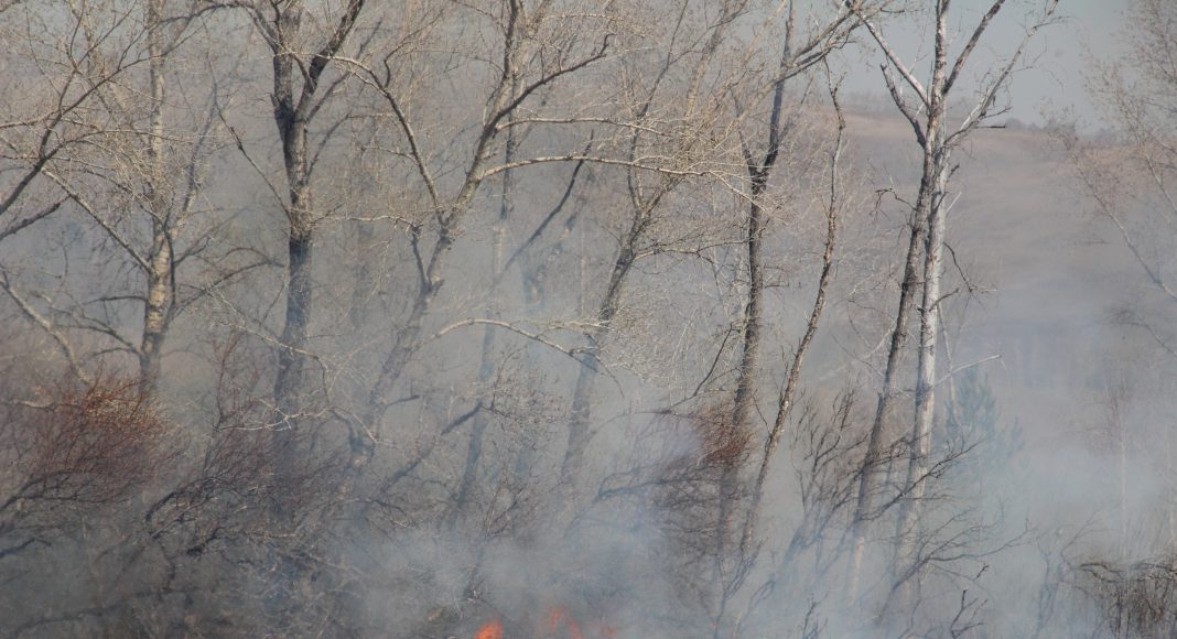 Огонь, пожар