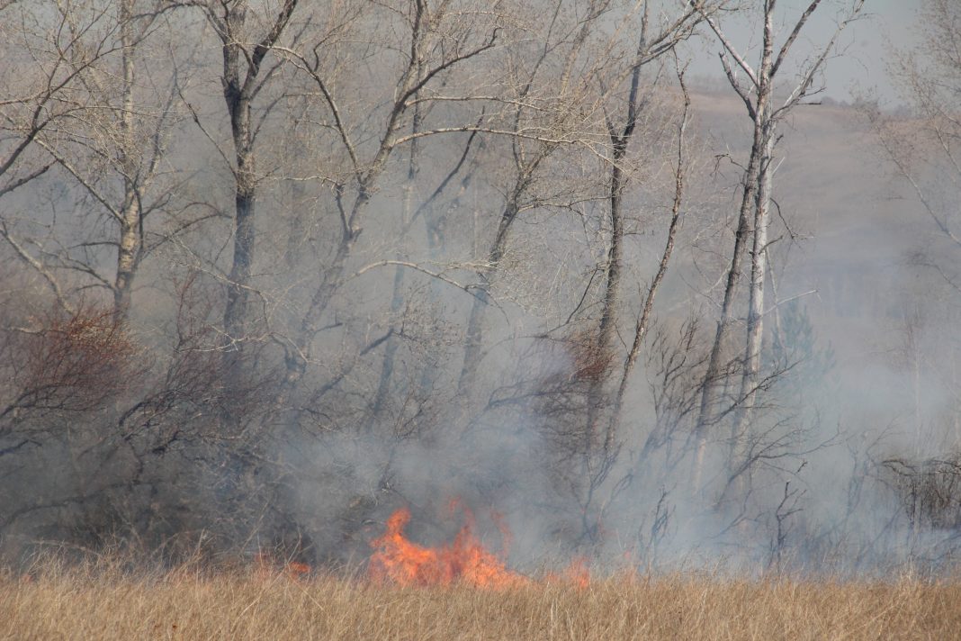 Огонь, пожар