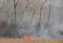 Огонь, пожар