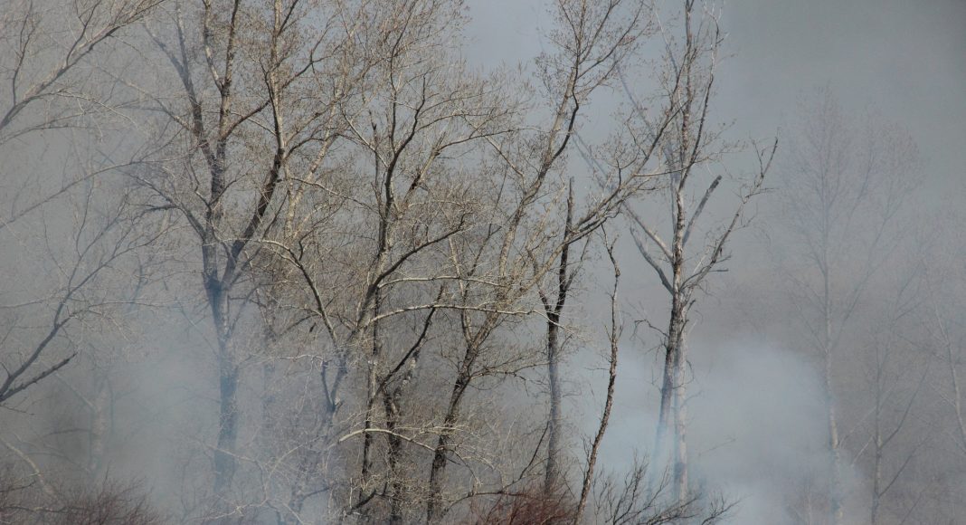 Огонь, пожар, дым