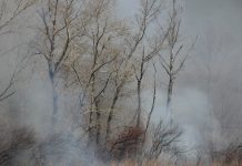 Огонь, пожар, дым