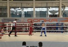 Кикбоксинг. Кубок Сибири в Красноярске