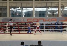 Кикбоксинг. Кубок Сибири в Красноярске