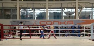 Кикбоксинг. Кубок Сибири в Красноярске