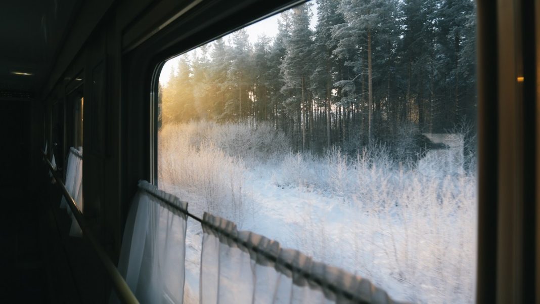 Фото: www.pexels.com