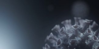 коронавирус