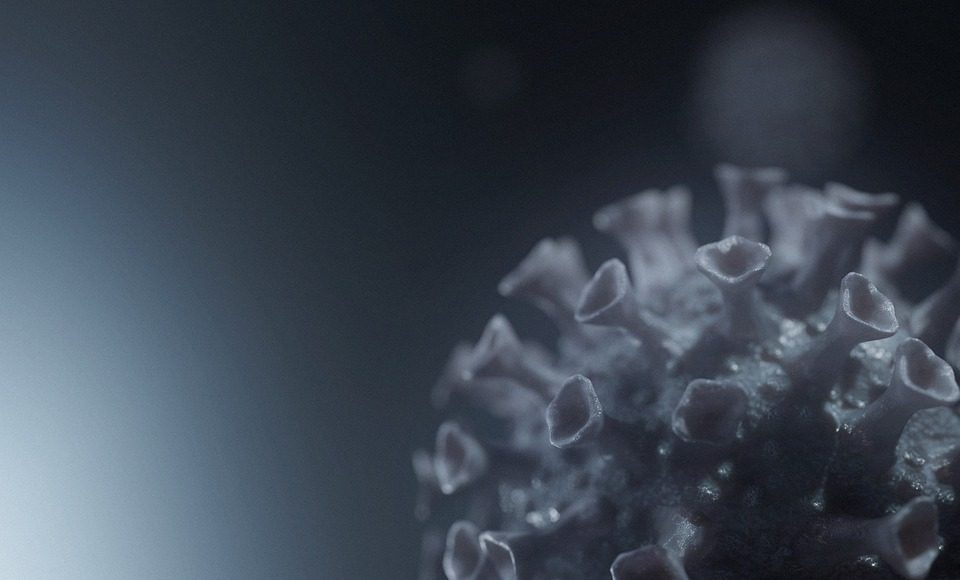 коронавирус