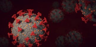 коронавирус