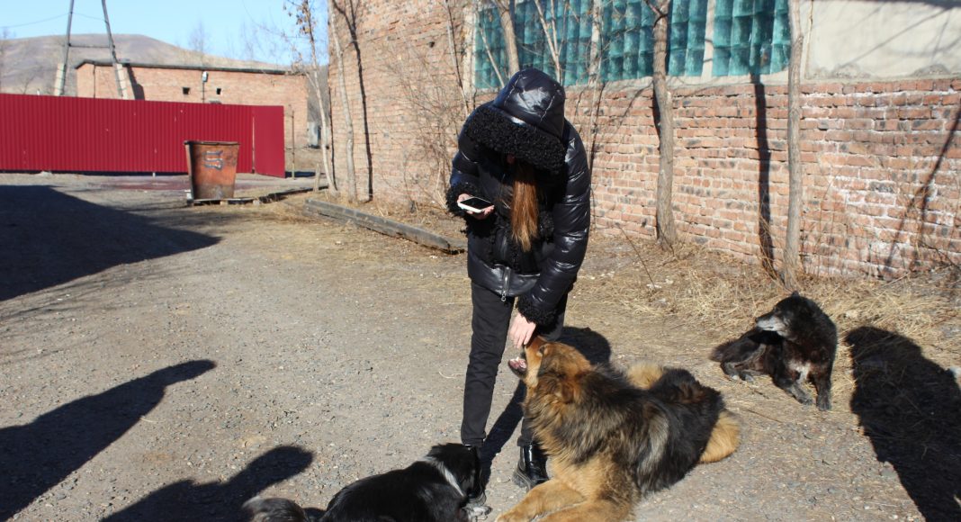 Фото: Абакан.рф