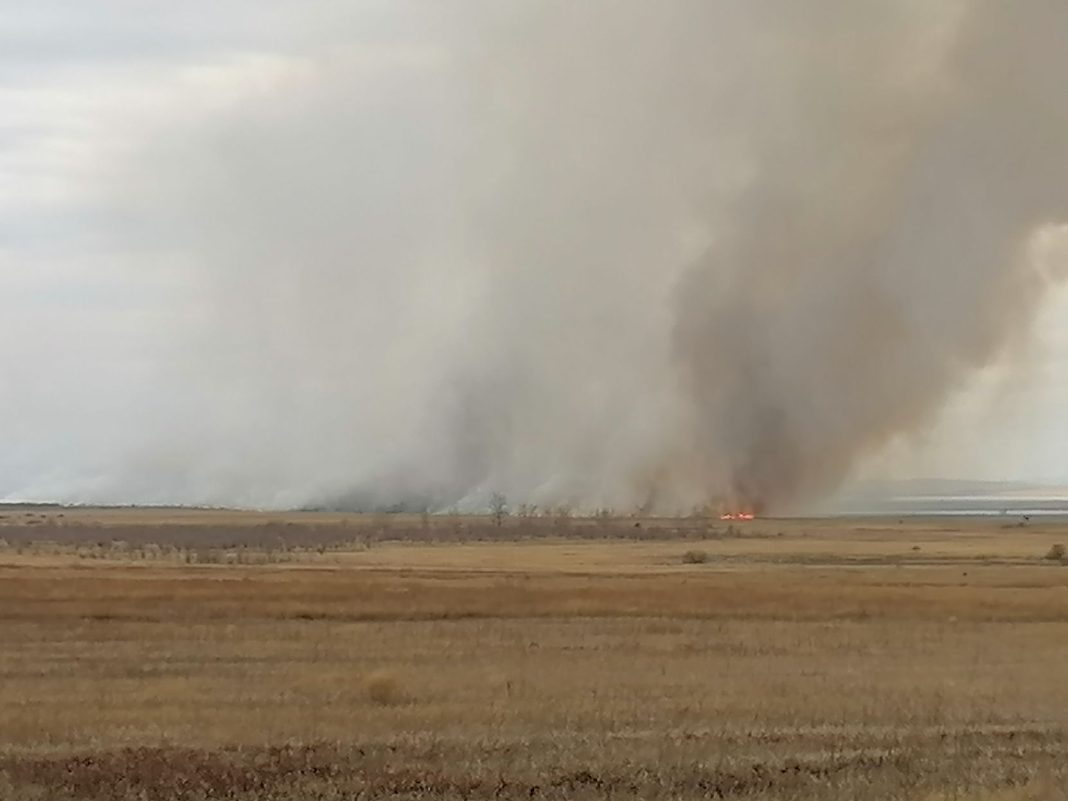 Фото МЧС Фото МЧС