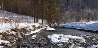 Фото предоставлено пресс-службой Минприроды РХ