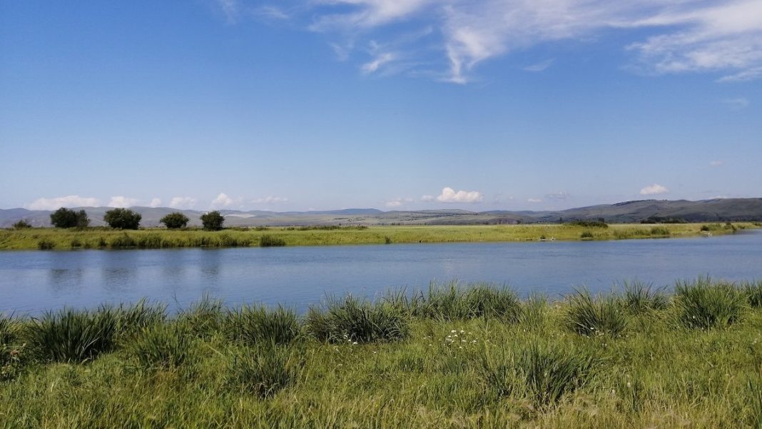 Фото Администрации Абакана