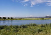 Фото Администрации Абакана