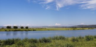 Фото Администрации Абакана