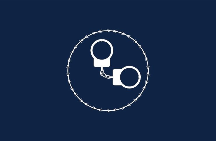 Наркоплантация в квартире: жителю Сорска грозит до 10 лет тюрьмы за выращивание марихуаны Наручники, арест