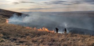 Фото: 19.mchs.gov.ru