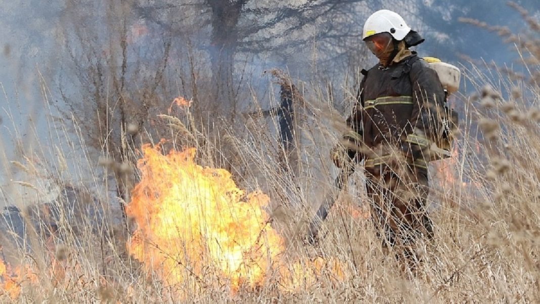 Фото: 19.mchs.gov.ru Фото: 19.mchs.gov.ru