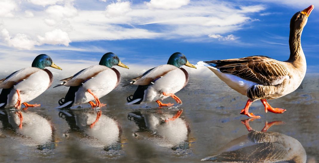 Бодрый марш