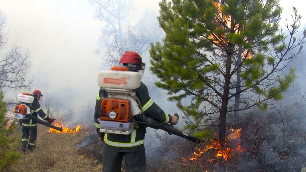 Лесной пожар