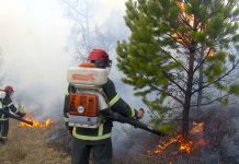 Лесной пожар