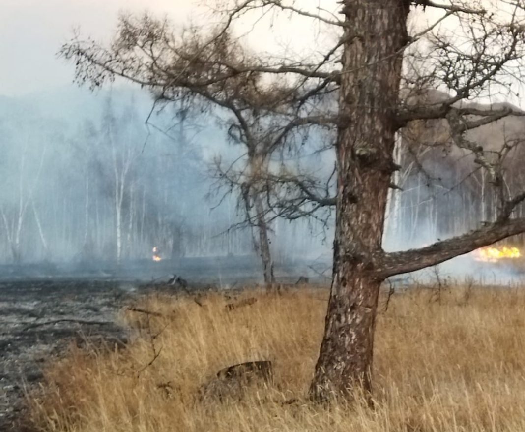 Фото пресс-службы Минприроды РХ