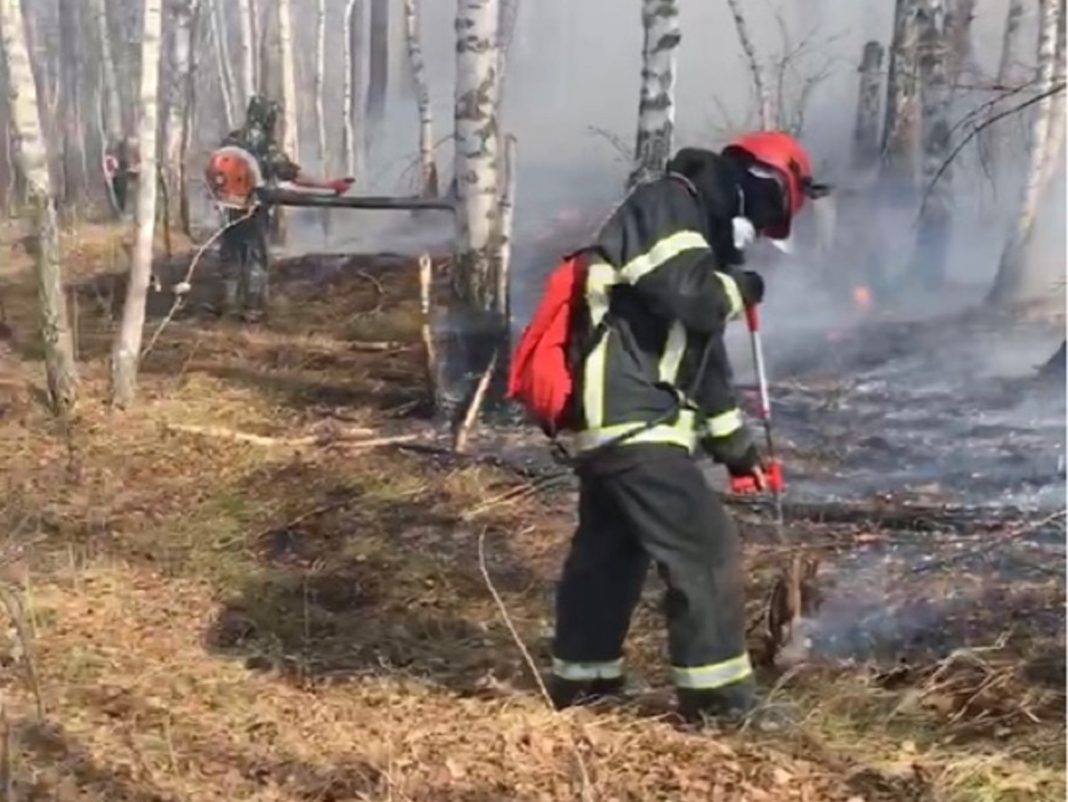 Фото пресс-службы Минприроды РХ