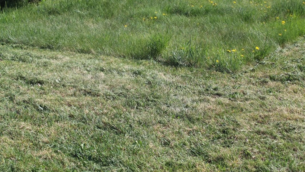 Фото Администрации Абакана Фото Администрации Абакана