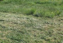 Фото Администрации Абакана