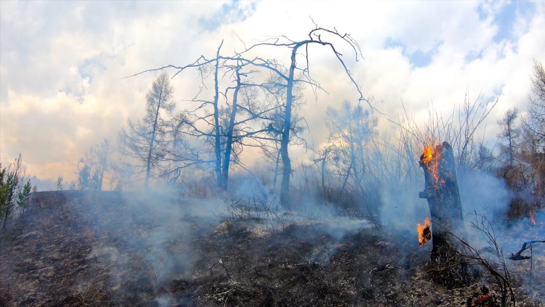 Фото со страницы Минприроды РХ