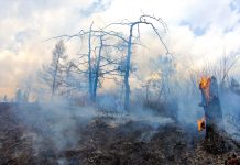 Фото со страницы Минприроды РХ