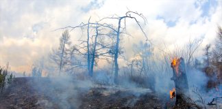 Фото со страницы Минприроды РХ
